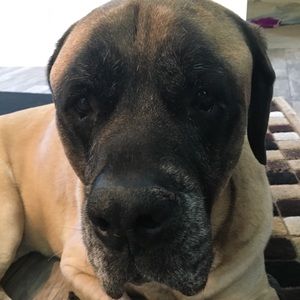 Meet your Posher, Cathy